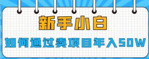 新手小白如何通过卖项目年入50W【揭秘】-副业吧
