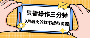 (7191期)一单50-288,一天8单收益500+小红书虚拟资源变现,视频课程+实操课+…-副业吧