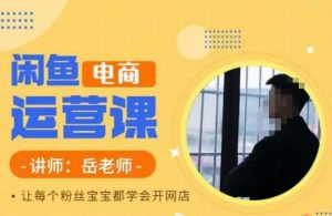 岳老师·闲鱼电商运营课,让每个粉丝宝宝都学会开网店-副业吧
