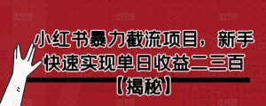 小红书暴力截流项目，新手快速实现单日收益二三百【仅揭秘】-副业吧