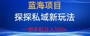 蓝海项目，探探私域新玩法，一部手机日入500+很轻松【揭秘】-副业吧