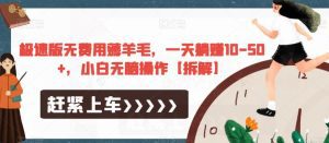 极速版无费用薅羊毛,一天躺赚10-50+,小白无脑操作【拆解】-副业吧