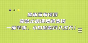 (7276期)最新蓝海项目,靠禁止废话视频变现,一部手机,小白轻松月入过万!-副业吧