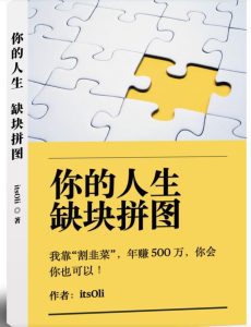 某高赞电子书《你的人生，缺块拼图——我靠“割韭菜”，年赚500万，你会你也可以》-副业吧