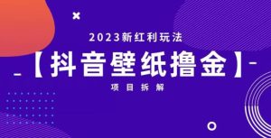 抖音壁纸小程序创作者撸金项目，2023新红利玩法【项目拆解】-副业吧
