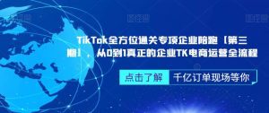 ‎TikTok全方位通关专项企业陪跑【第三期】，从0到1真正的企业TK电商运营全流程-副业吧