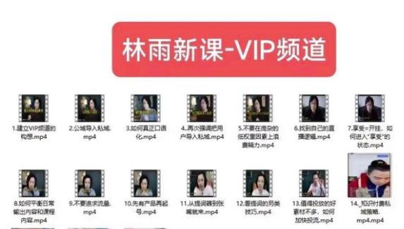 林雨新课VIP频道，玩赚私域/朋友圈/社群-副业吧