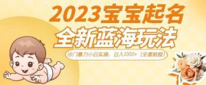 2023宝宝起名全新蓝海玩法，冷门暴力小白实操，日入1000+（全套教程）【揭秘】-副业吧