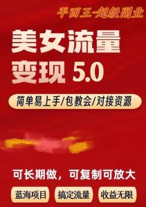 TK美女短视频变现项目无限复制（升级版），全网最高性价比项目【揭秘】-副业吧