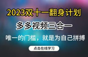 2023双十一翻身计划，多多视频带货三合一玩法教程【揭秘】-副业吧