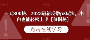 一天800块，2023最新反撸pz玩法，小白也能轻松上手【仅揭秘】-副业吧