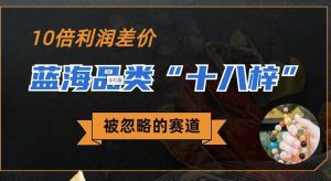 被忽略的蓝海品类“十八籽”，10倍的利润差价，同行一天几十单【揭秘】-副业吧