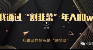 知识付费才是最好的项目,教你如何通过知识付费月入5万【揭秘】-副业吧