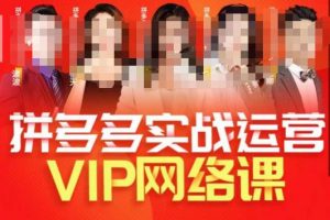 推易拼多多VIP全套直播课程，拼多多店铺实操玩法+实战玩法选款内功+直通车高阶等-副业吧