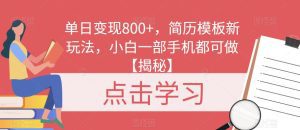 单日变现800+，简历模板新玩法，小白一部手机都可做【揭秘】-副业吧
