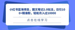 小红书蓝海项目，图文笔记2.0玩法，日引100+精准粉，轻松月入过10000【揭秘】-副业吧