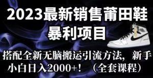 2023最新销售莆田鞋暴利项目，搭配全新无脑搬运引流方法，新手小白日入2000+【揭秘】-副业吧