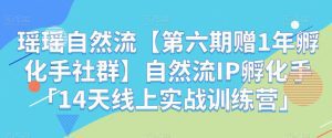 瑶瑶自然流【第六期赠1年孵化手社群】自然流IP孵化手「14天线上实战训练营」-副业吧