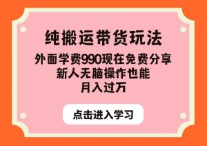 纯搬运带货玩法，外面学费990现在免费分享，新人无脑操作也能月入过万【揭秘】-副业吧
