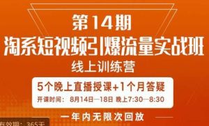 南掌柜·淘系短视频引爆流量实战班，​短视频是一个没有天花板的流量入口-副业吧