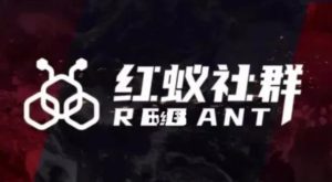 社群运营:红蚁社群【48节落地系统课程+2000人高端社群】-副业吧