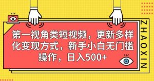 第一视角类短视频，更新多样化变现方式，新手小白无门槛操作，日入500+【揭秘】-副业吧