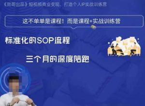 勋哥·短视频变现训练营，解决核心问题，标准化起号流程，以变现为核心-副业吧