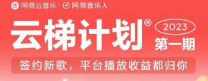 2023年8月份网易云最新独家挂机技术，真正实现挂机月入5000【揭秘】-副业吧