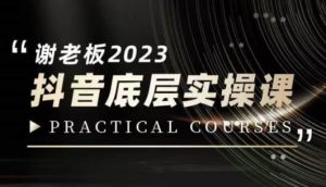蟹老板·2023抖音底层实操课，打造短视频的底层认知-副业吧