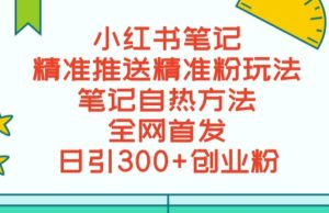 最新小红书笔记精准推送2000+精准粉，单日导流私欲最少300【脚本+教程】-副业吧
