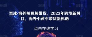 黑冰·海外短视频带货，2023年跨境新风口，海外小黄车带货新机遇-副业吧