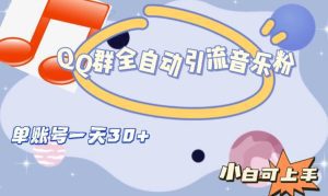 QQ群全自动引流音乐粉，单账号一天轻松引流30+-副业吧