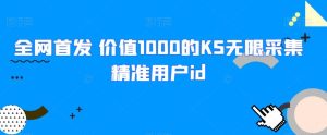 全网首发 价值1000的KS无限采集精准用户id-副业吧