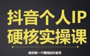个人IP创富系统实战课，商业定位，流量打造，短视频变现，教你做个赚钱的抖音号-副业吧
