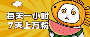 暴力涨粉项目:每天一小时,七天上万粉【揭秘】-副业吧