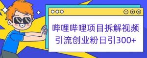 哔哩哔哩项目拆解引流创业粉日引300+小白可轻松上手【揭秘】-副业吧