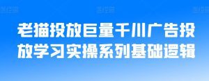 老猫投放巨量千川广告投放学习实操系列基础逻辑-副业吧