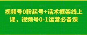 视频号0粉起号+话术框架线上课，视频号0-1运营必备课-副业吧