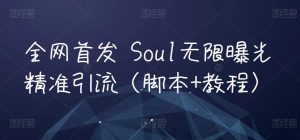 全网首发 Soul无限曝光精准引流(脚本+教程)-副业吧