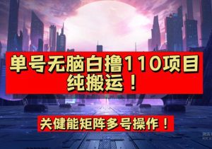 9月全网首发，单号直接白撸110！可多号操作，无脑搬运复制粘贴【揭秘】-副业吧