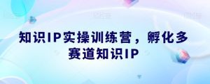 知识IP实操训练营,孵化多赛道知识IP-副业吧