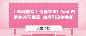 【全网首发】价值5000 Soul无限关注不屏蔽精准引流创业粉-副业吧