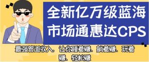全新亿万级蓝海市场通惠达cps，最强管道收入，让你睡着赚、躺着赚、玩着赚、轻松赚【揭秘】-副业吧