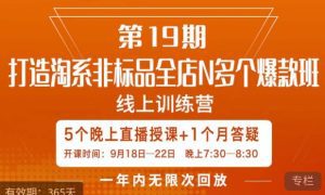 打造淘系非标全店N多个爆款线上课，​5天直播课-副业吧