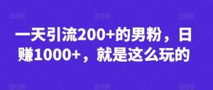 一天引流200+的男粉,日赚1000+,就是这么玩的【揭秘】-副业吧
