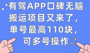 有驾APP口碑无脑搬运项目又来了，单号最高110块，可多号操作-副业吧