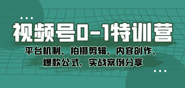 视频号0-1特训营：平台机制、拍摄剪辑、内容创作、爆款公式，实战案例分享-副业吧