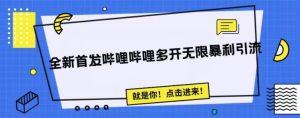 全新首发哔哩哔哩无限多开精准暴利引流，可无限多开，抗封首发精品脚本-副业吧