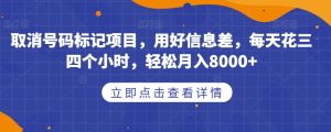 取消号码标记项目,用好信息差,每天花三四个小时,轻松月入8000+【揭秘】-副业吧