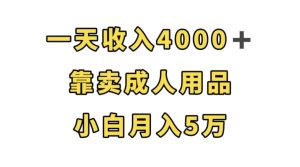一天收入4000+，靠卖成人用品，小白轻松月入5万【揭秘】-副业吧